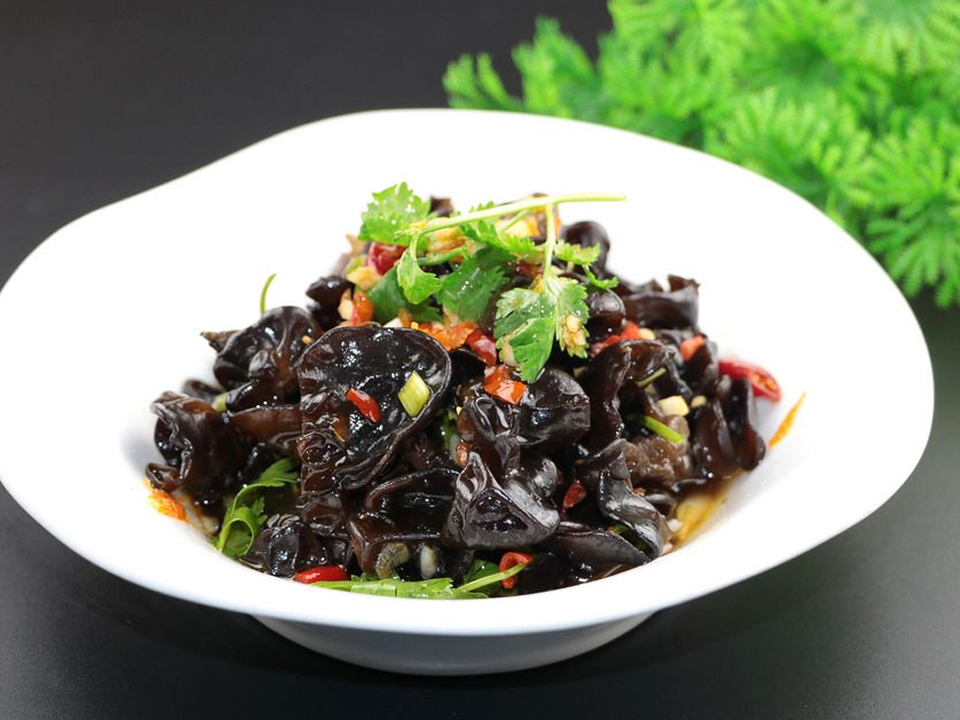 紅油木耳培訓菜品展示2